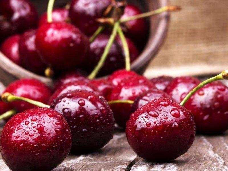 Вишня купить саженцы из питомника в Новоазовске